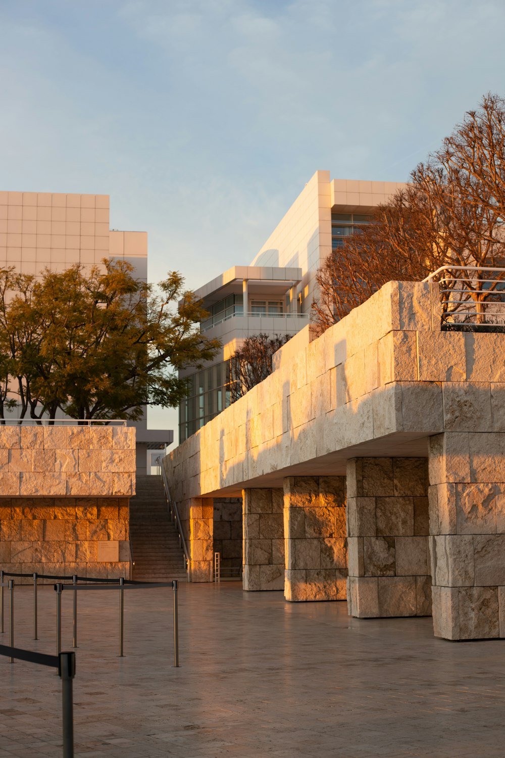 brown concrete building near brown trees during daytime