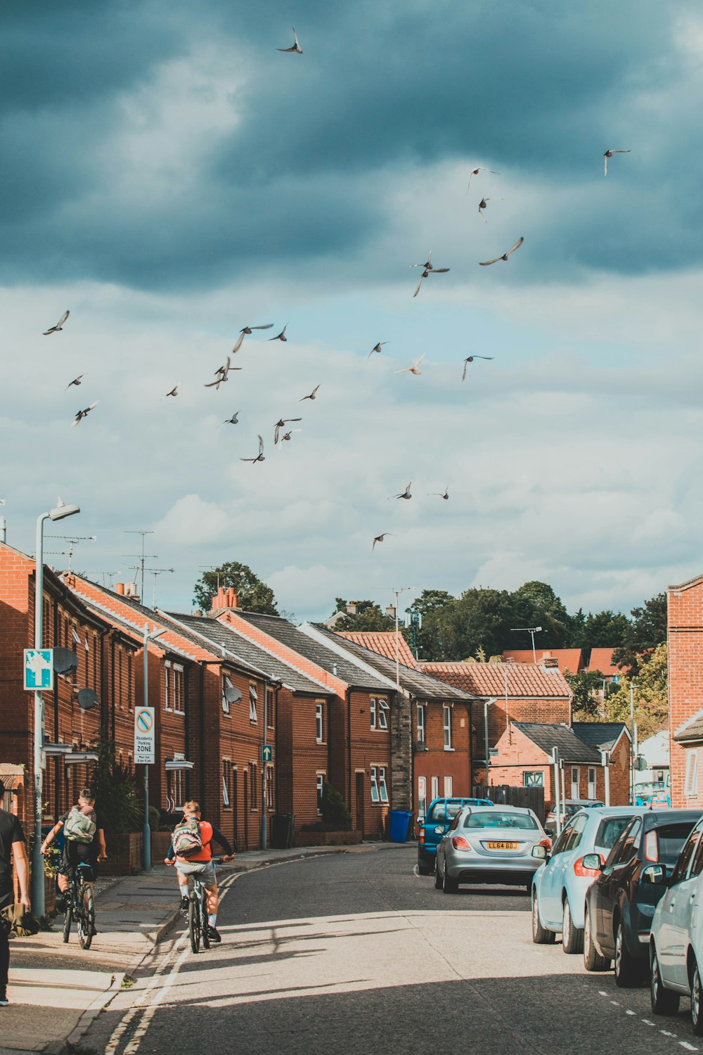 flock of birds flying over the city during daytime