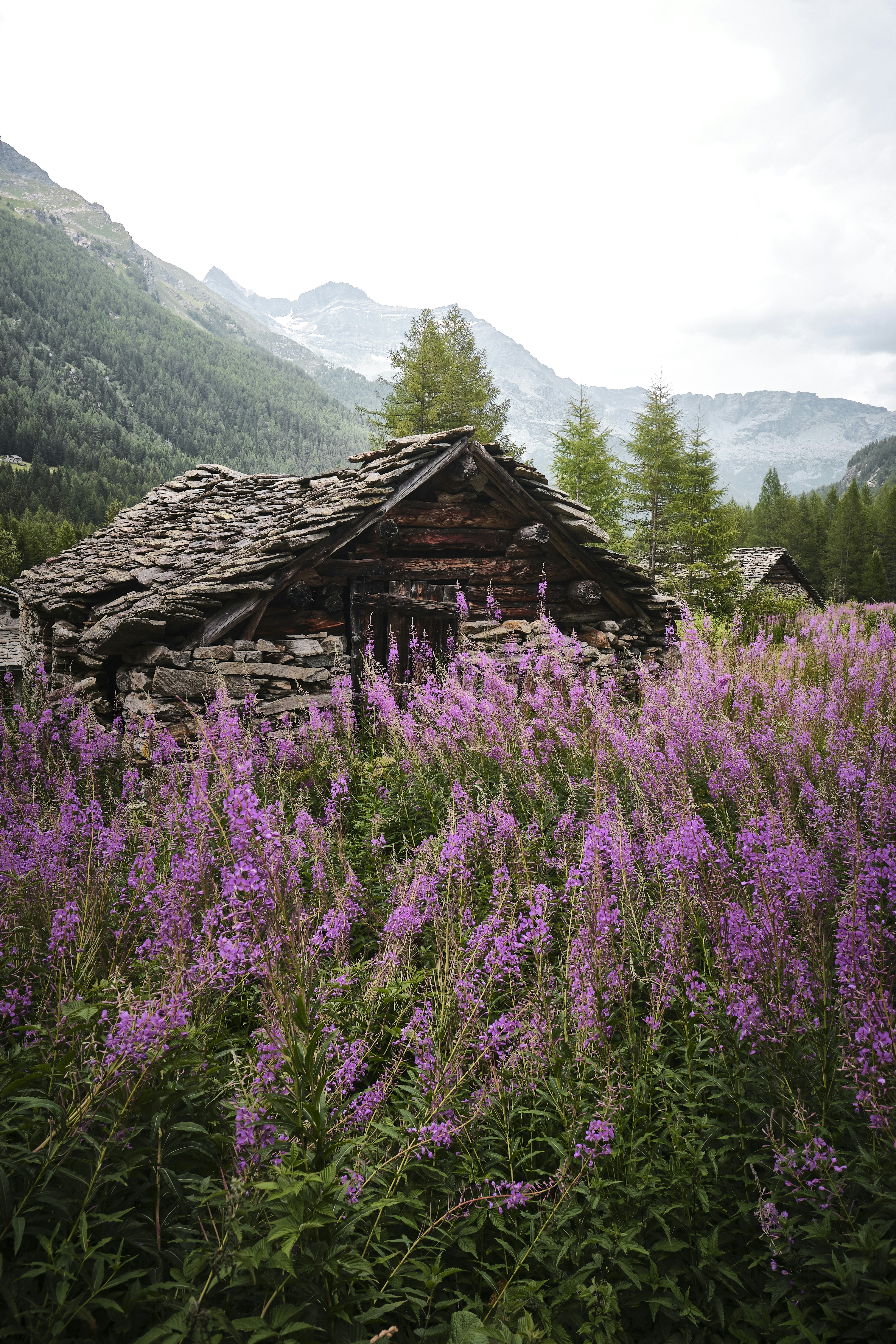 brown wooden house on green grass field near mountain during daytime