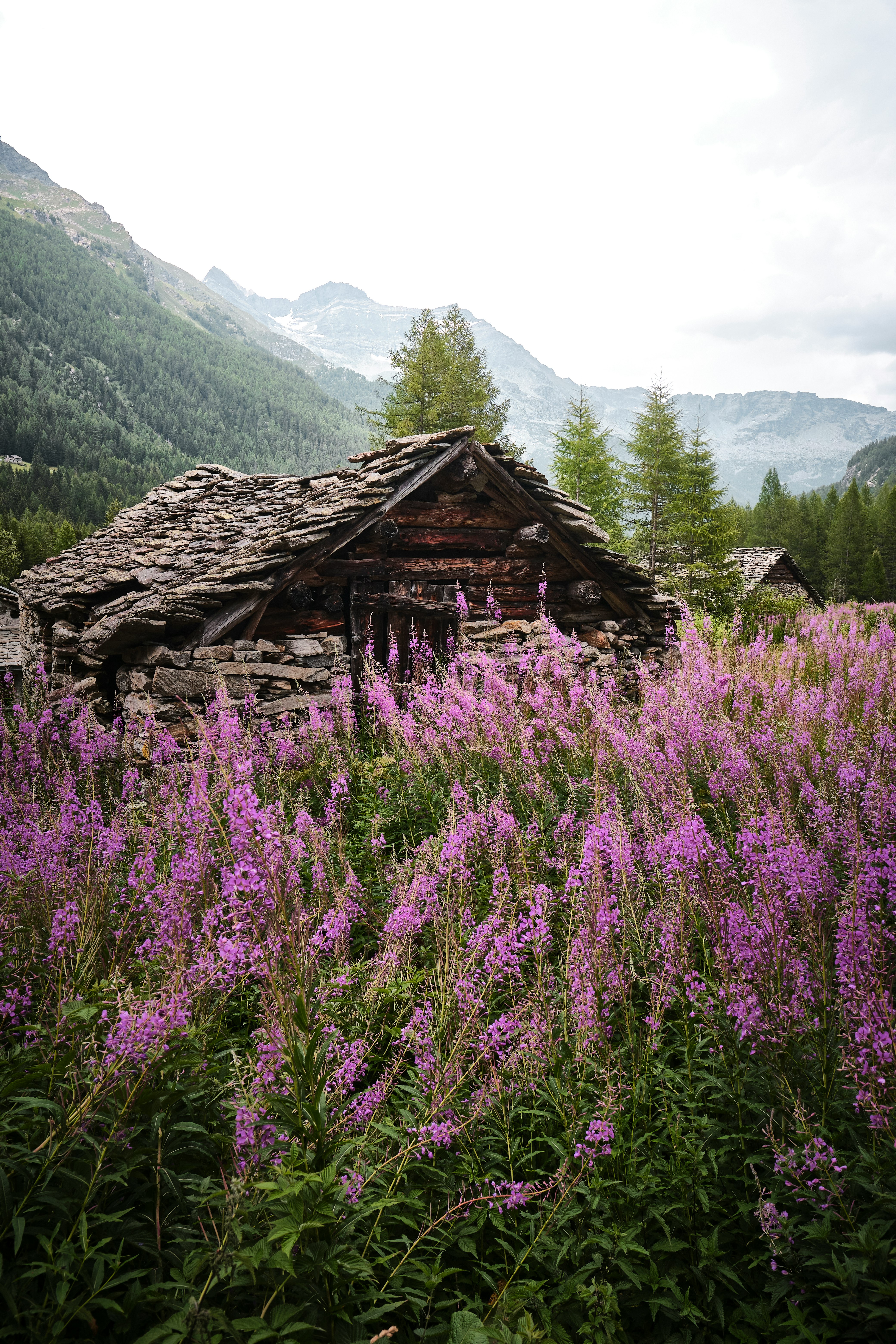 brown wooden house on green grass field near mountain during daytime