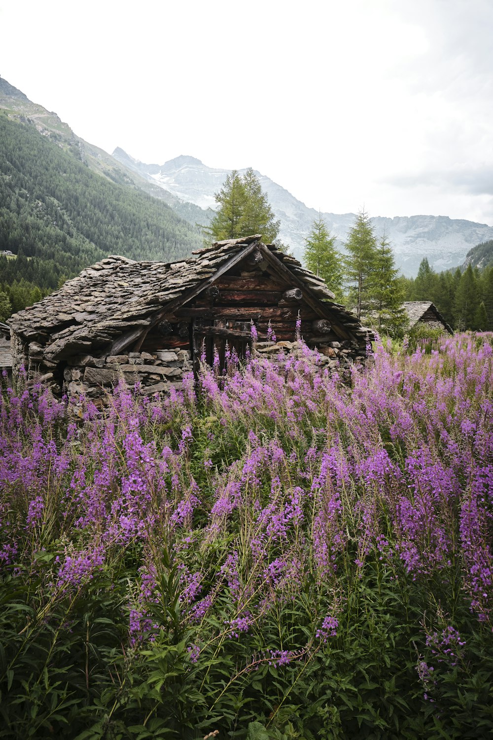 brown wooden house on green grass field near mountain during daytime