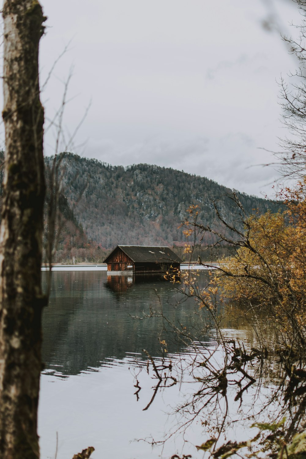 brown wooden house on lake near trees during daytime