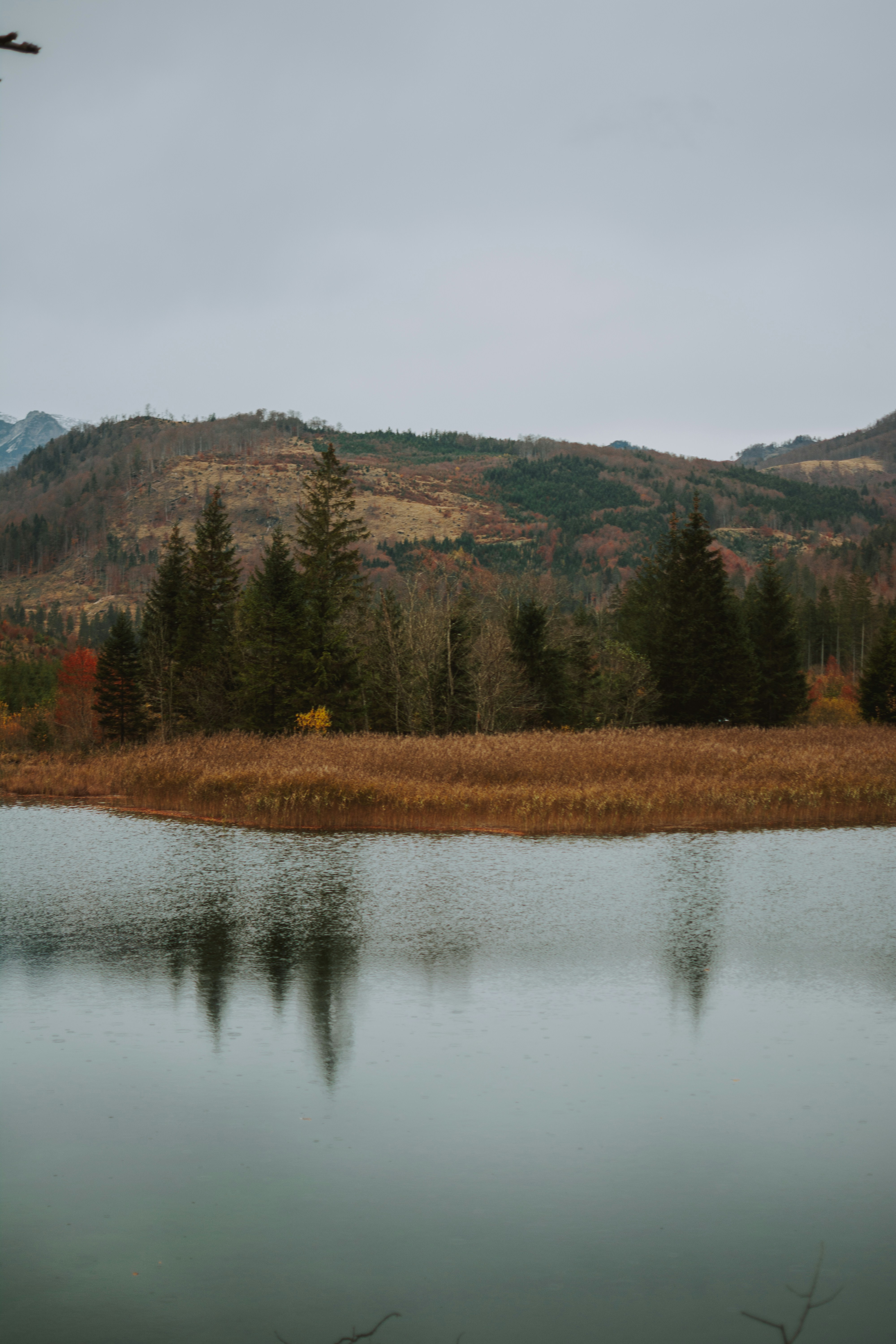 Photo by lilartsy