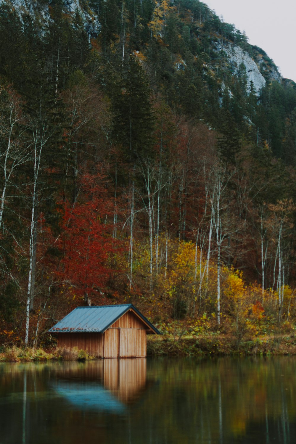 나무로 둘러싸인 호수 근처의 갈색 목조 주택