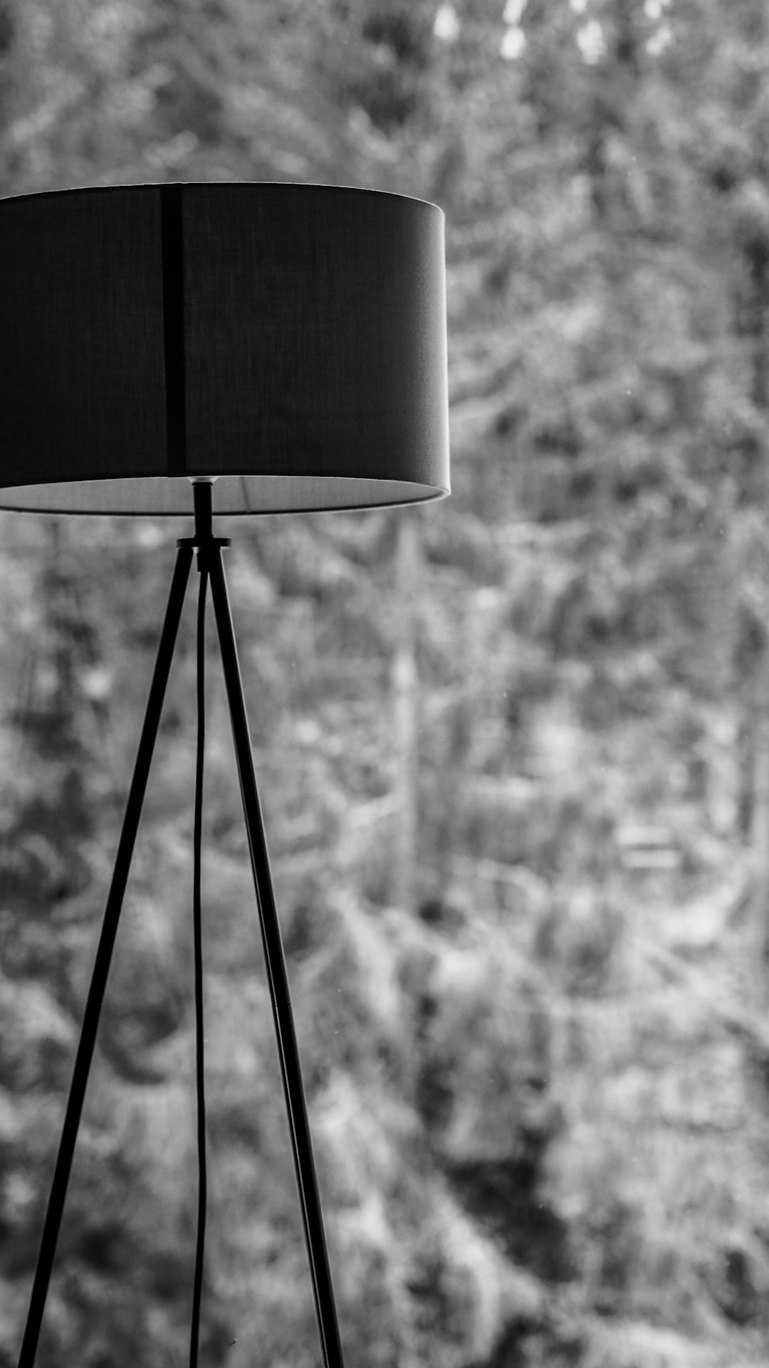 grayscale photo of a black and white lamp