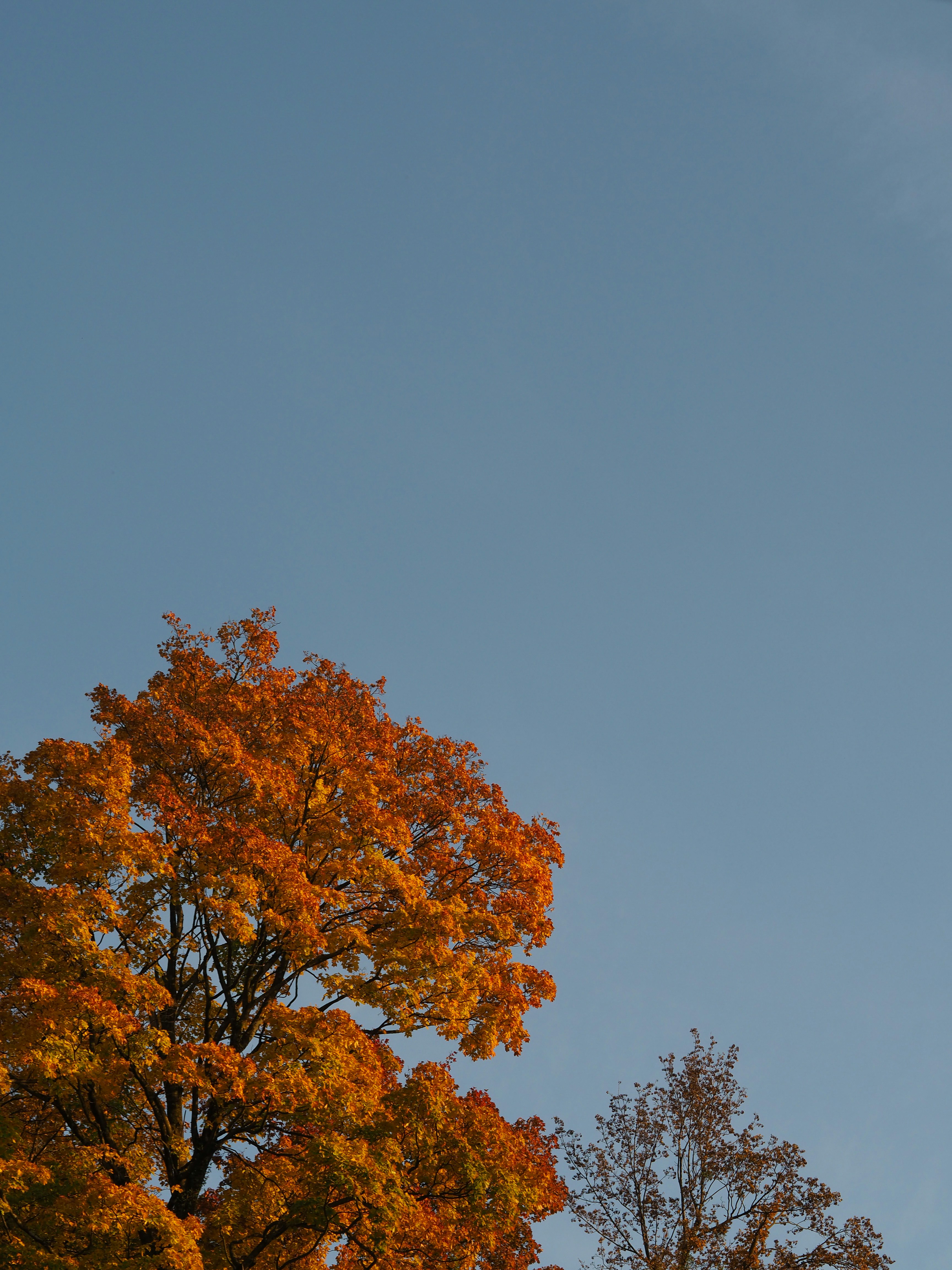 Photo by laurachouette