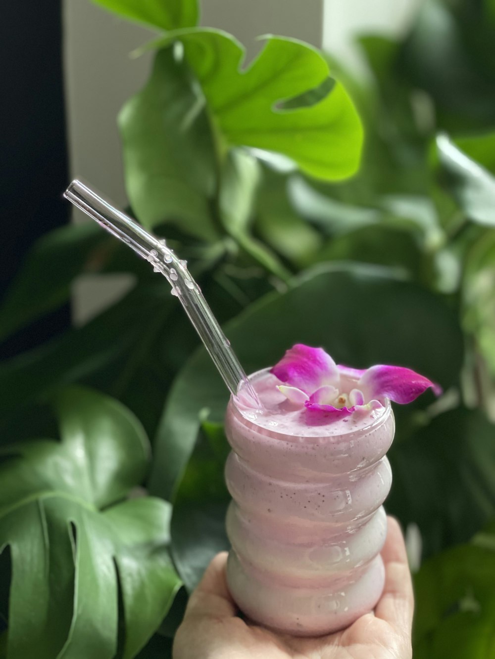 pink flower on clear glass jar