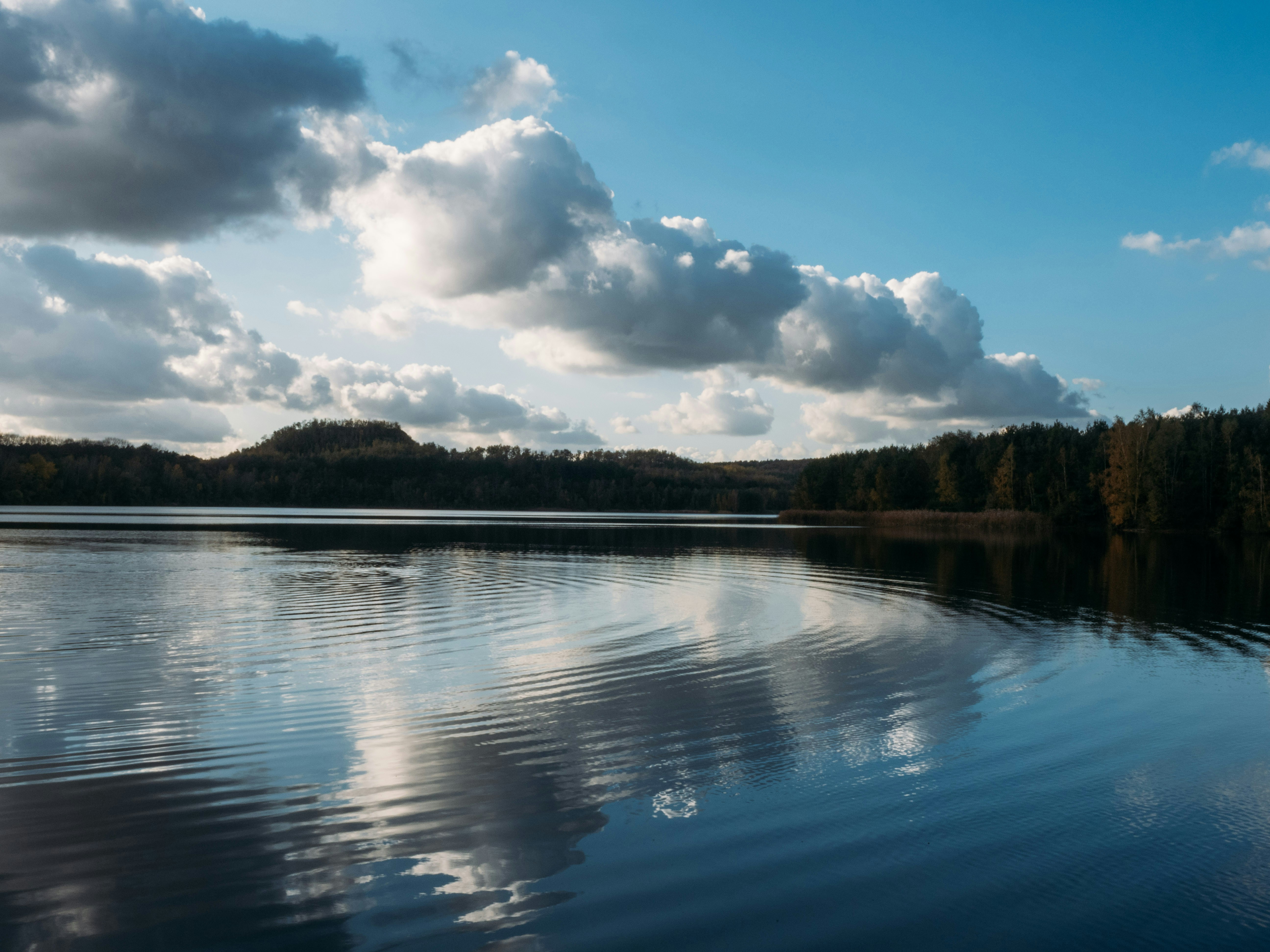 Photo by brechtdenil