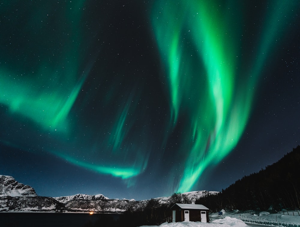 green aurora lights during night time