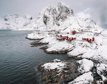 white and red houses near body of water during daytime