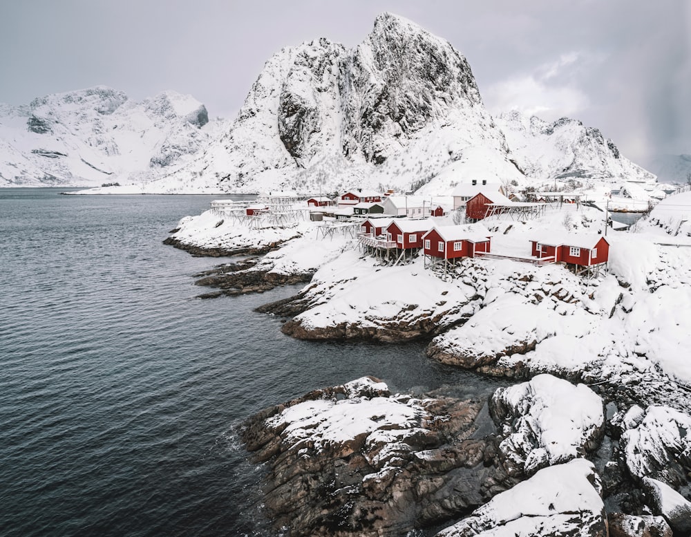 white and red houses near body of water during daytime