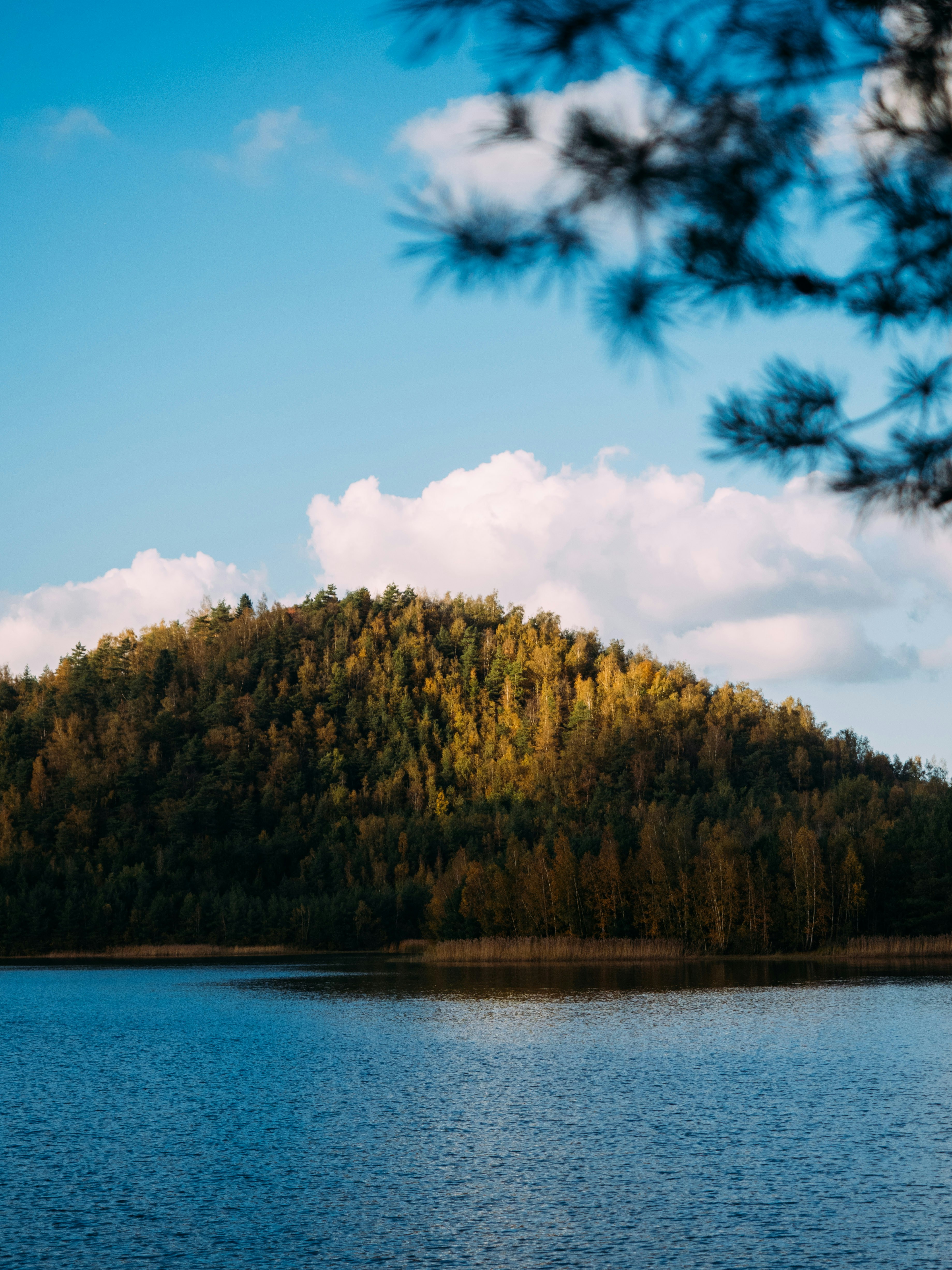 Photo by brechtdenil