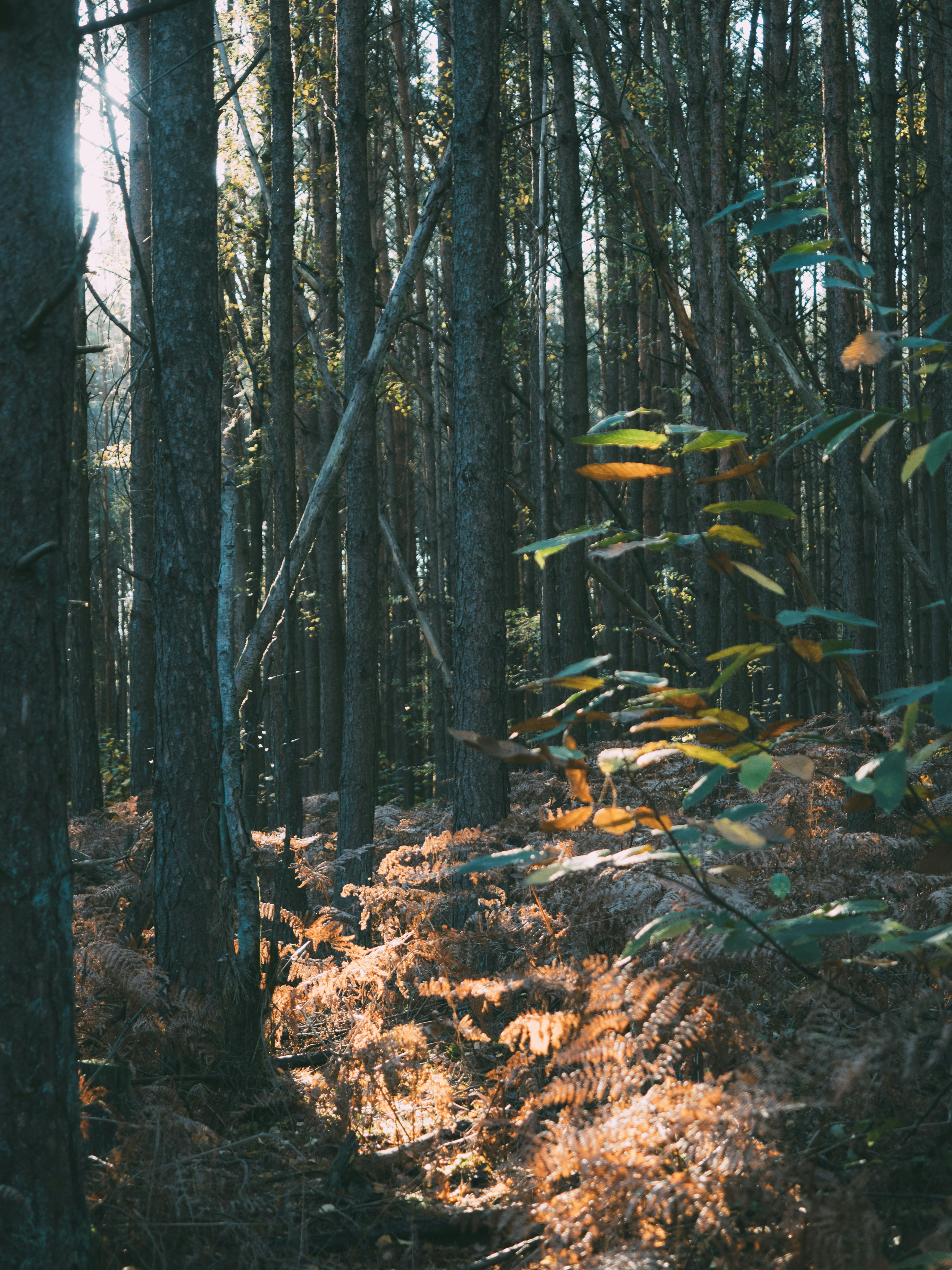 Photo by brechtdenil