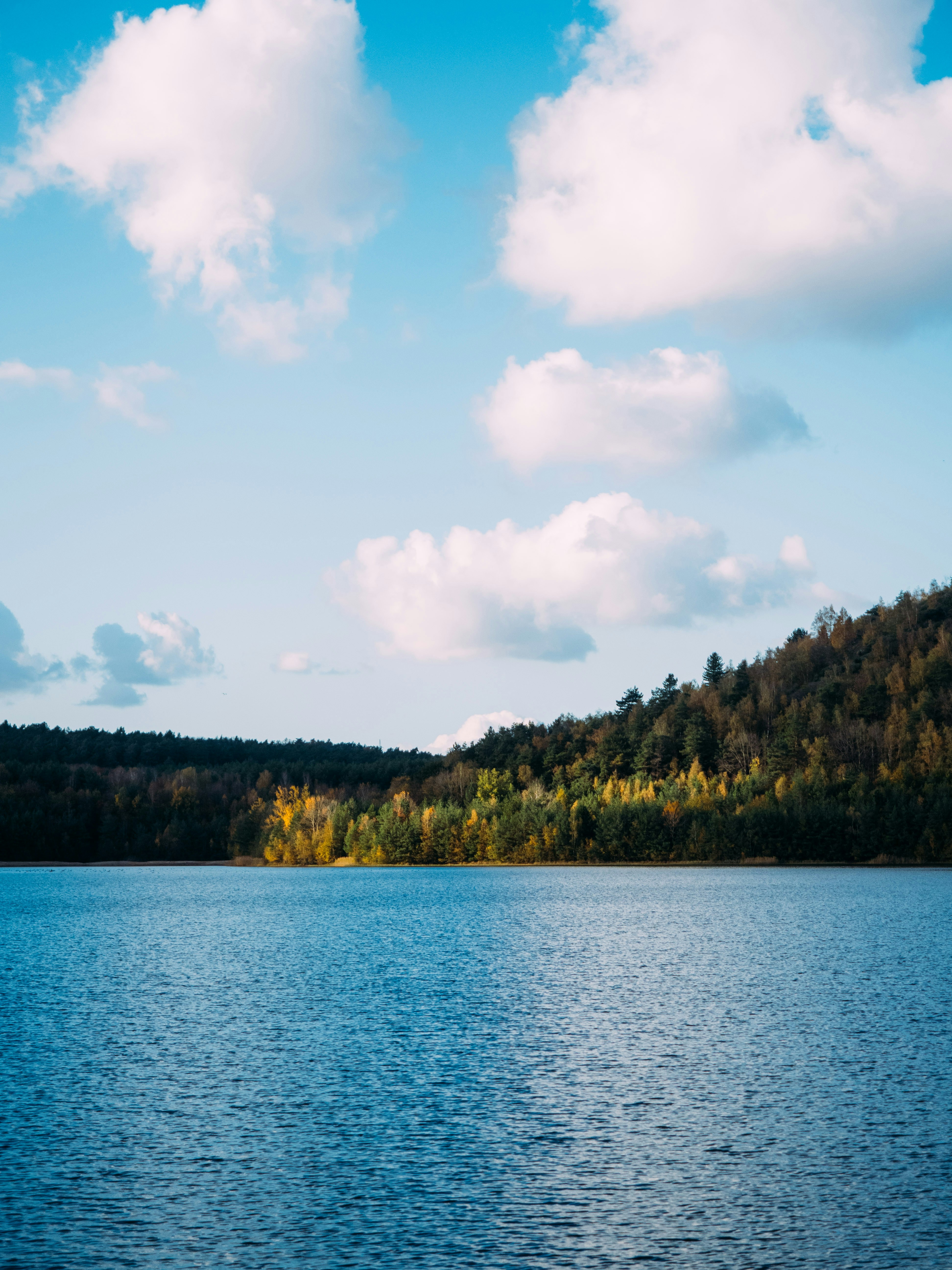 Photo by brechtdenil