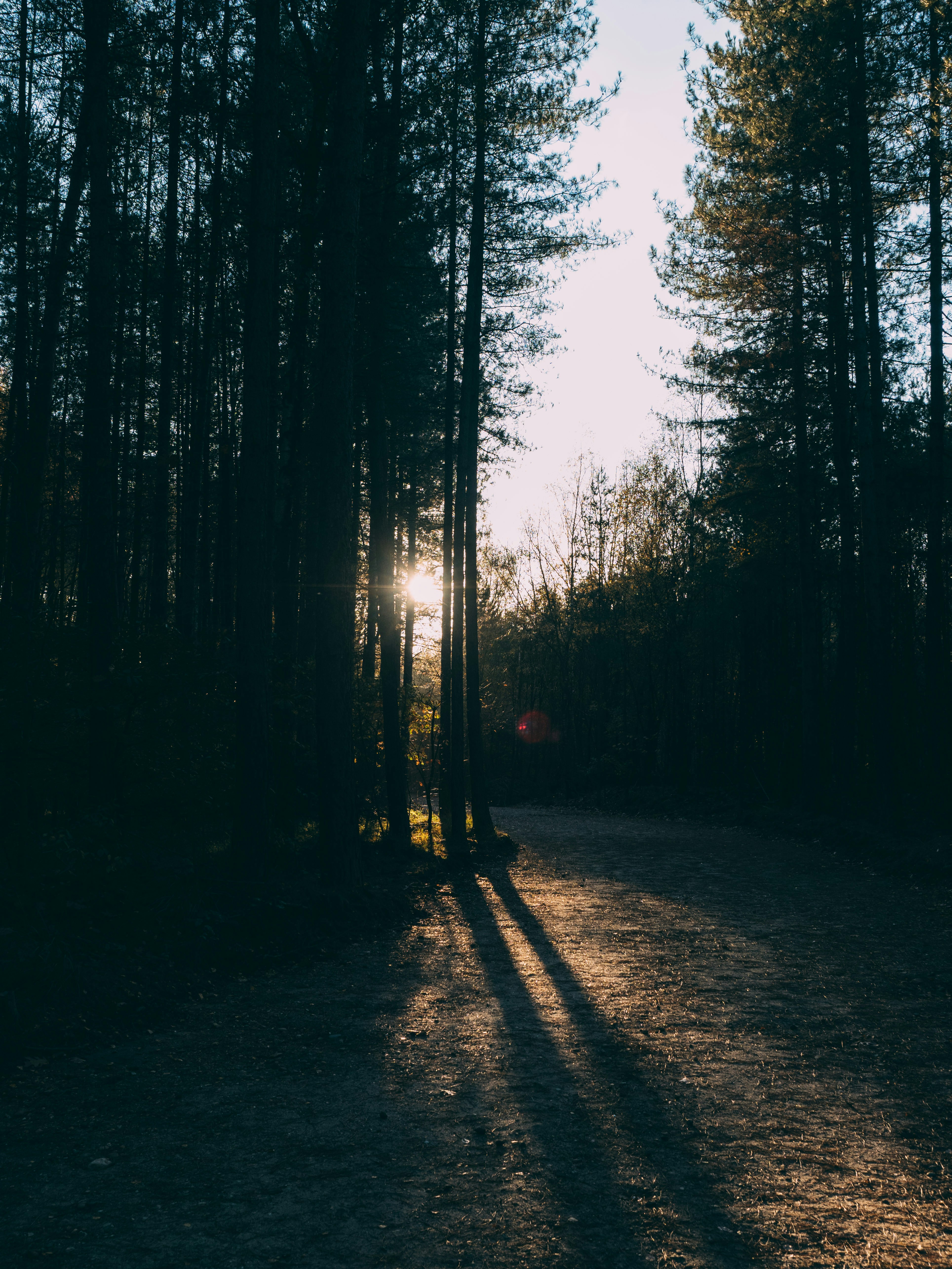 Photo by brechtdenil