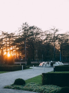 A serene landscape with a peaceful garden and soft sunlight.