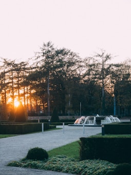 A serene garden landscape with neatly trimmed hedges and a pathway leading to a fountain. The sun is setting behind tall trees, casting a warm glow over the scene.