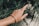 A hand wearing a wooden beaded bracelet is extended against a background of lush green foliage. The hand has a natural skin tone and well-kept nails, adding a subtle elegance to the scene.