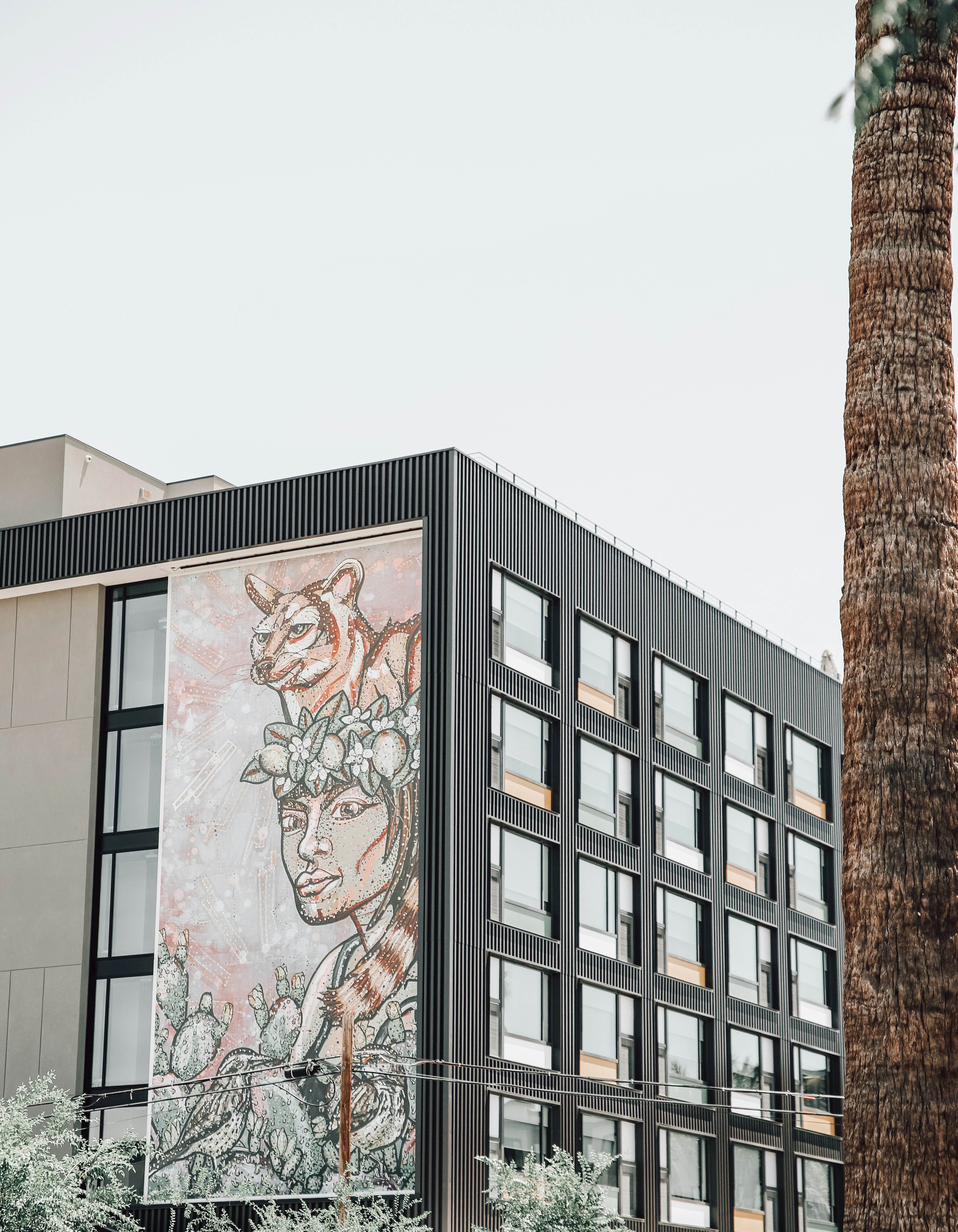 black and white concrete building