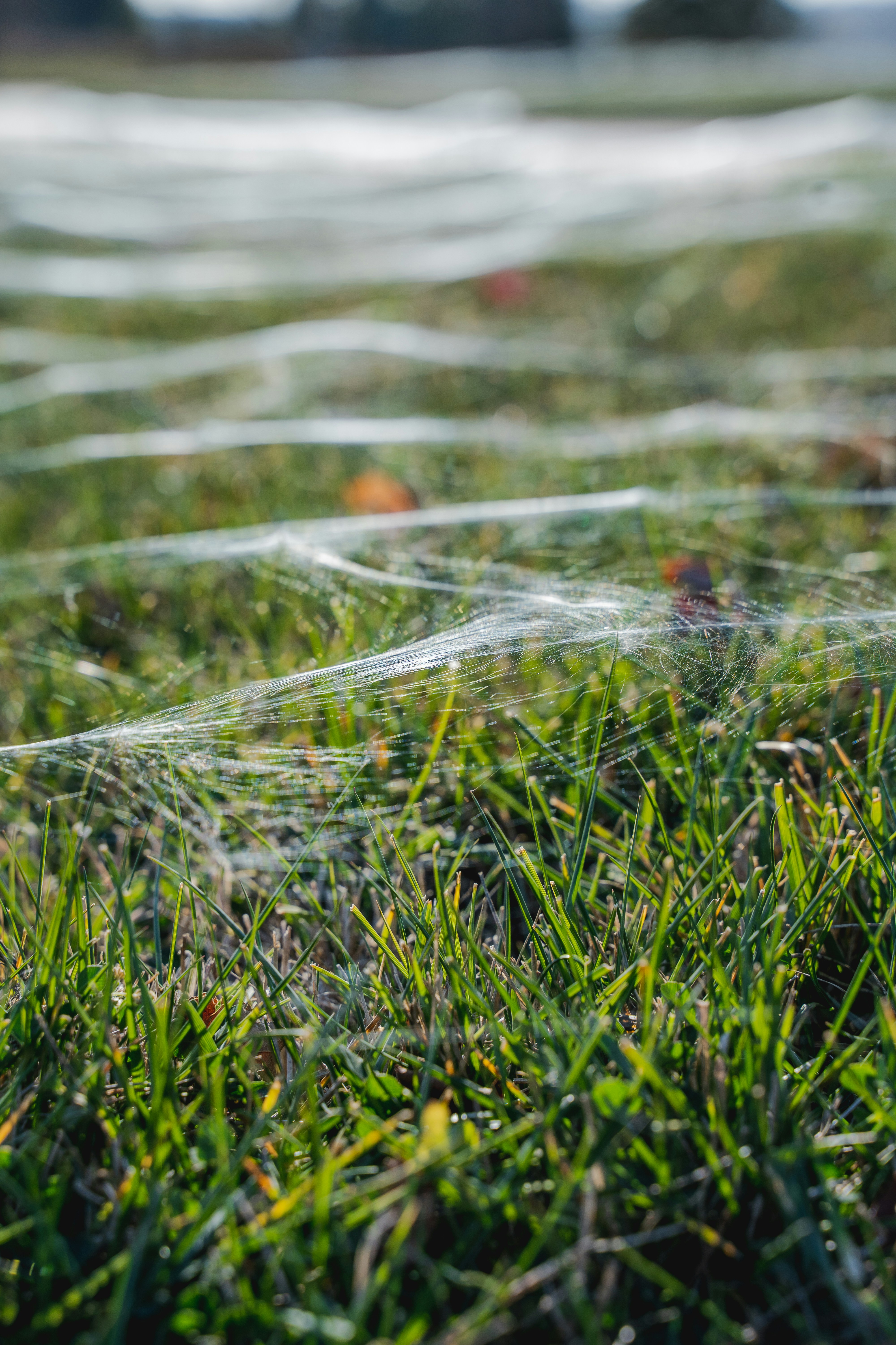 The Staggering Numbers Game (image credits: unsplash)