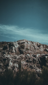 A rugged survivalist standing on a rocky hill overlooking a dense forest at dawn.