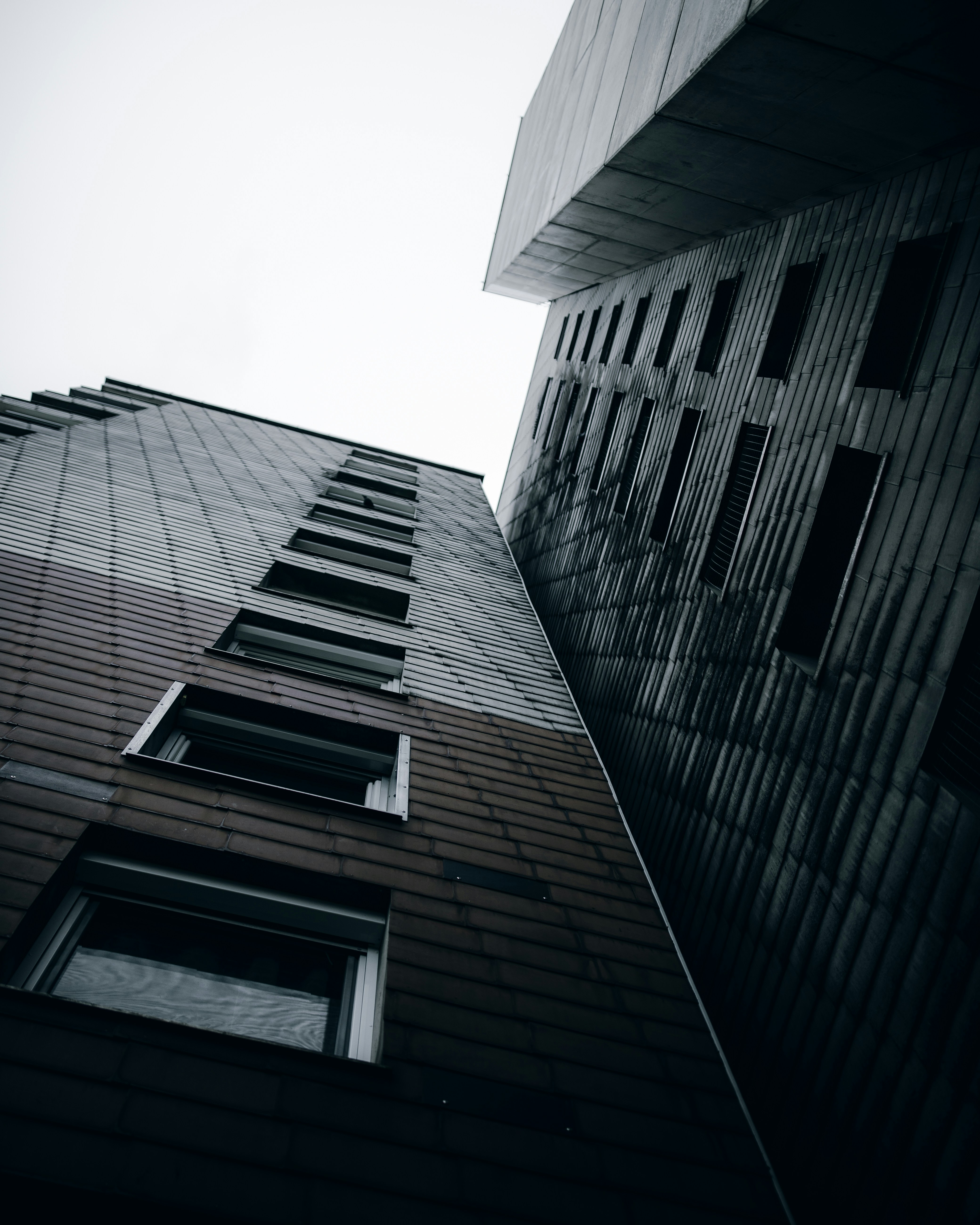 Photo by adamneumann