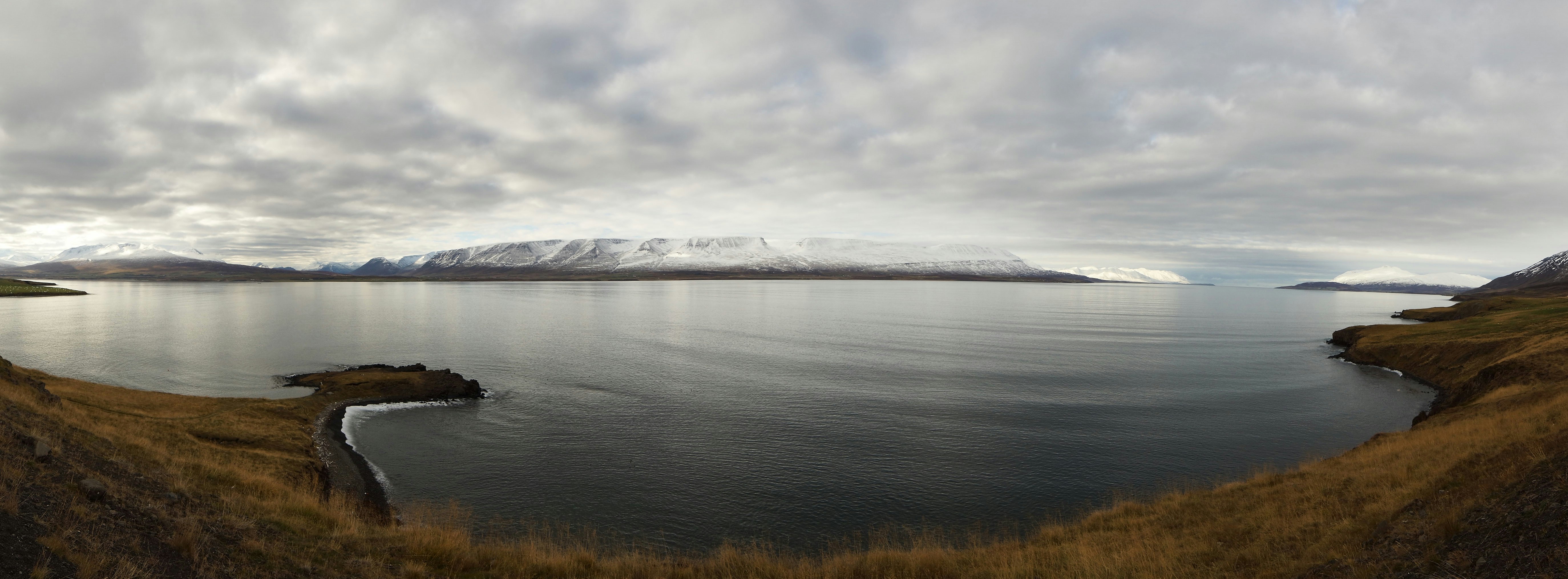 Photo by wolfgang_hasselmann