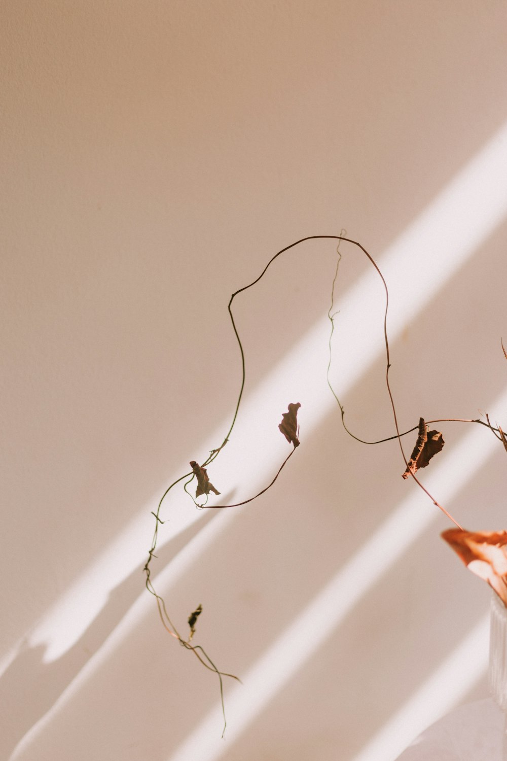 black coated wire on white wall