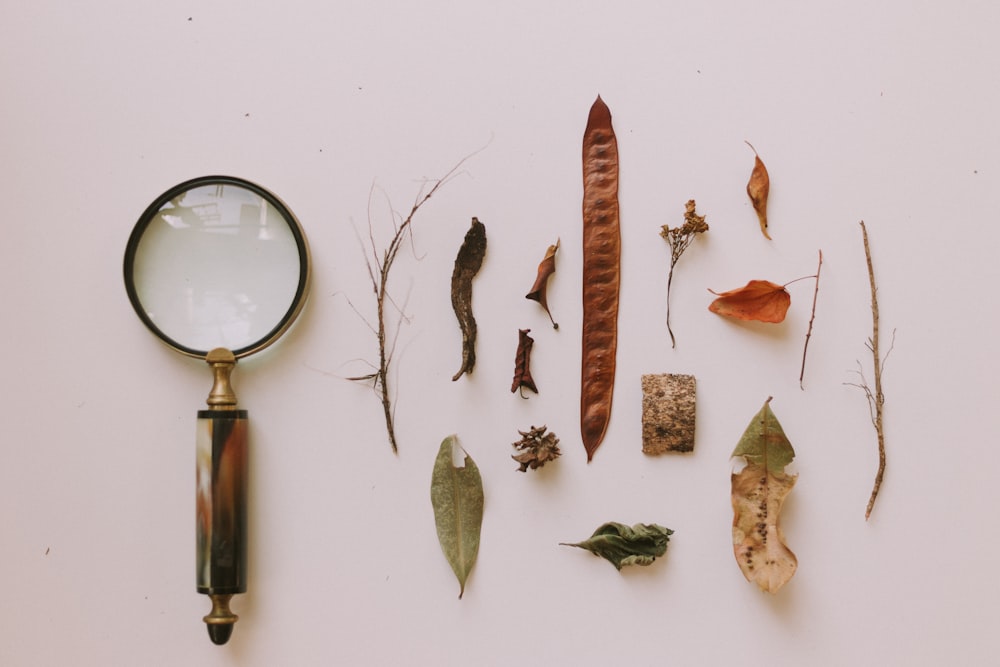 magnifying glass with brown wooden frame