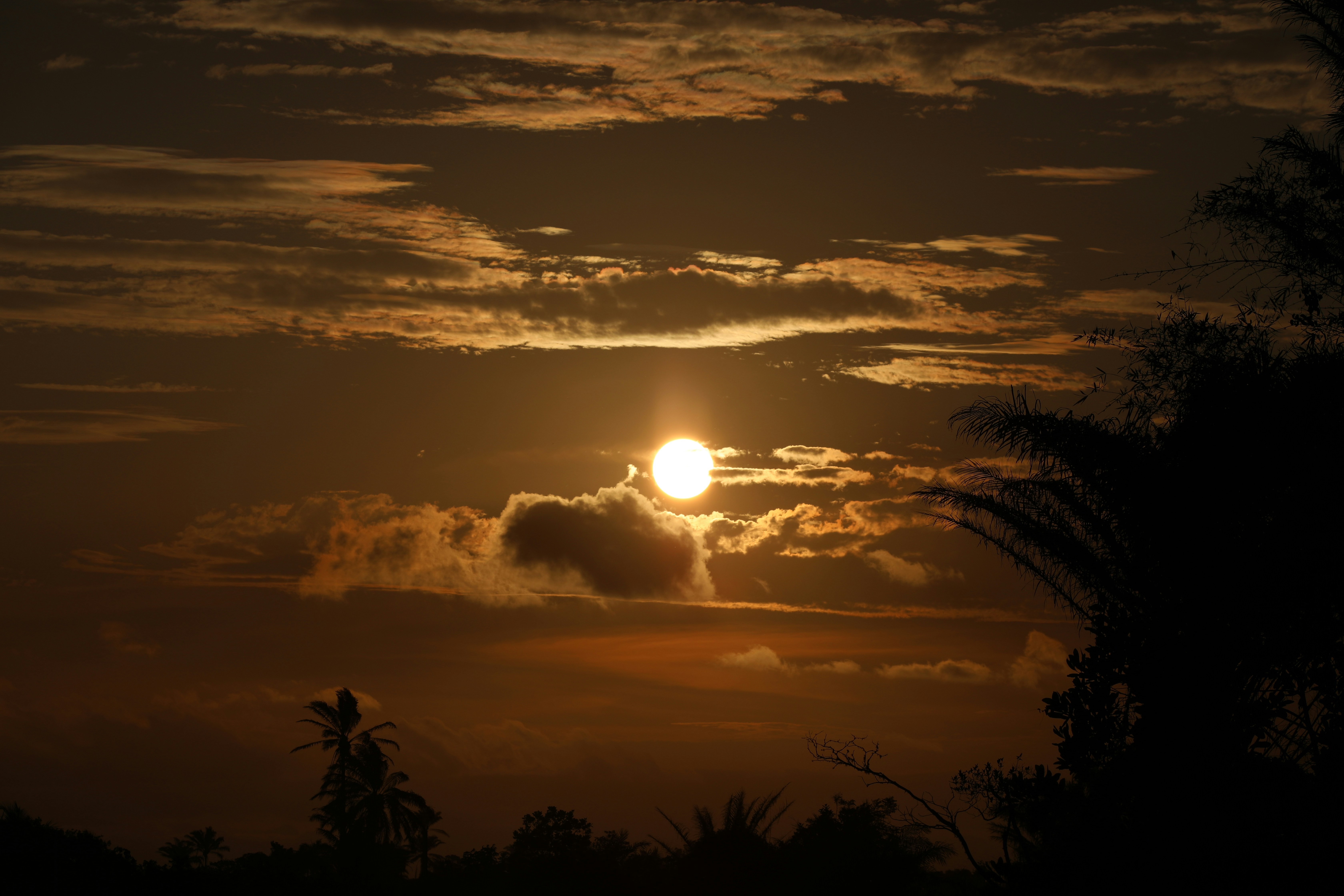 Photo by marcusdallcol