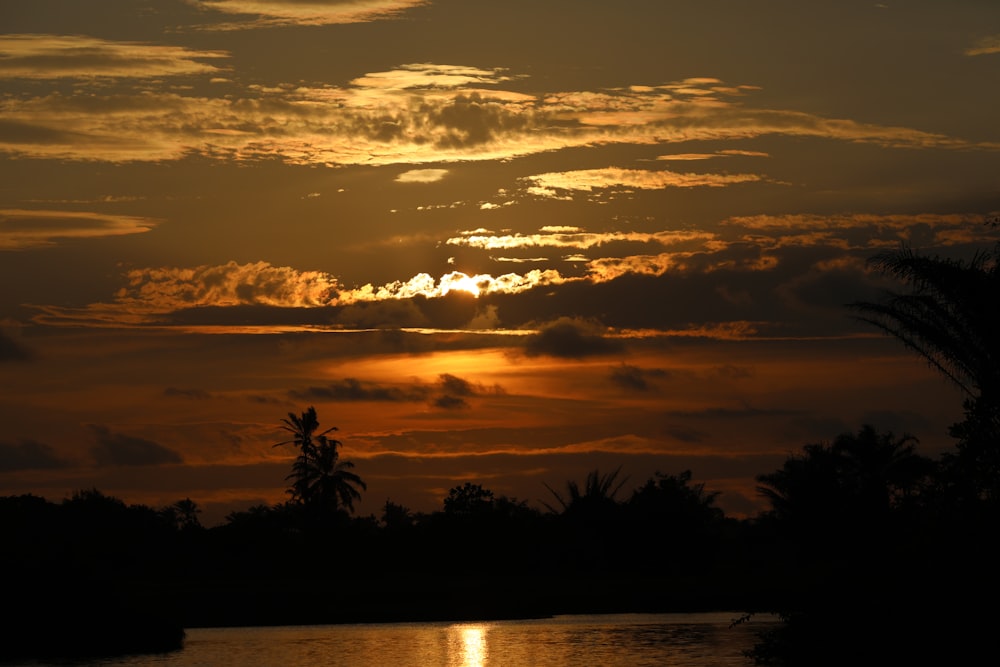 Silhouette der Bäume bei Sonnenuntergang