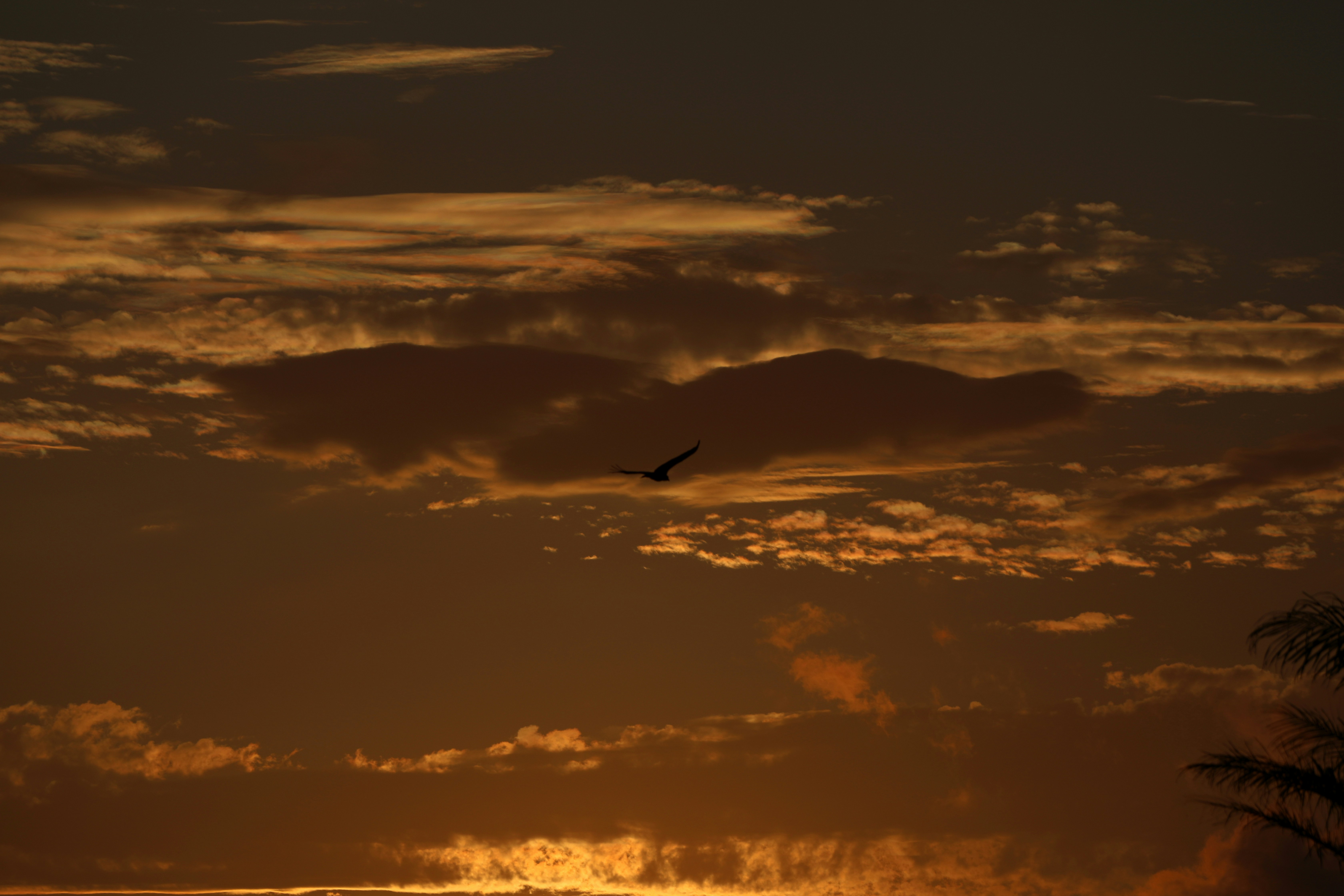 Photo by marcusdallcol