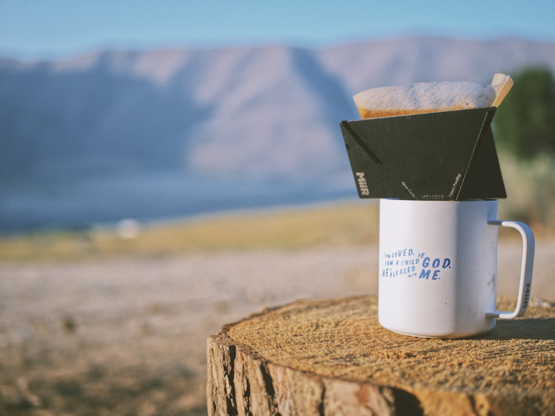 white and black plastic cup on brown wooden log