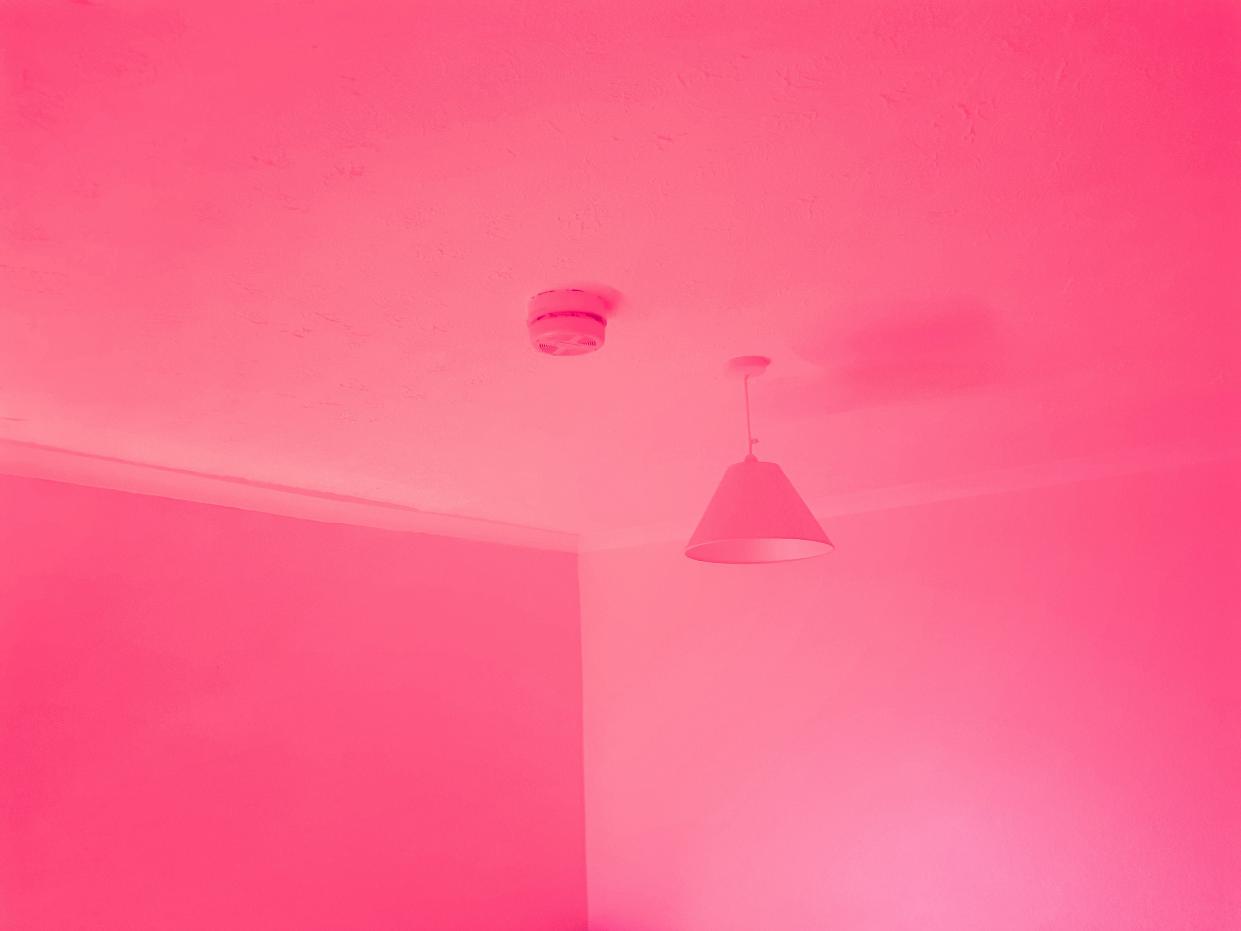 Pink pendant lamp