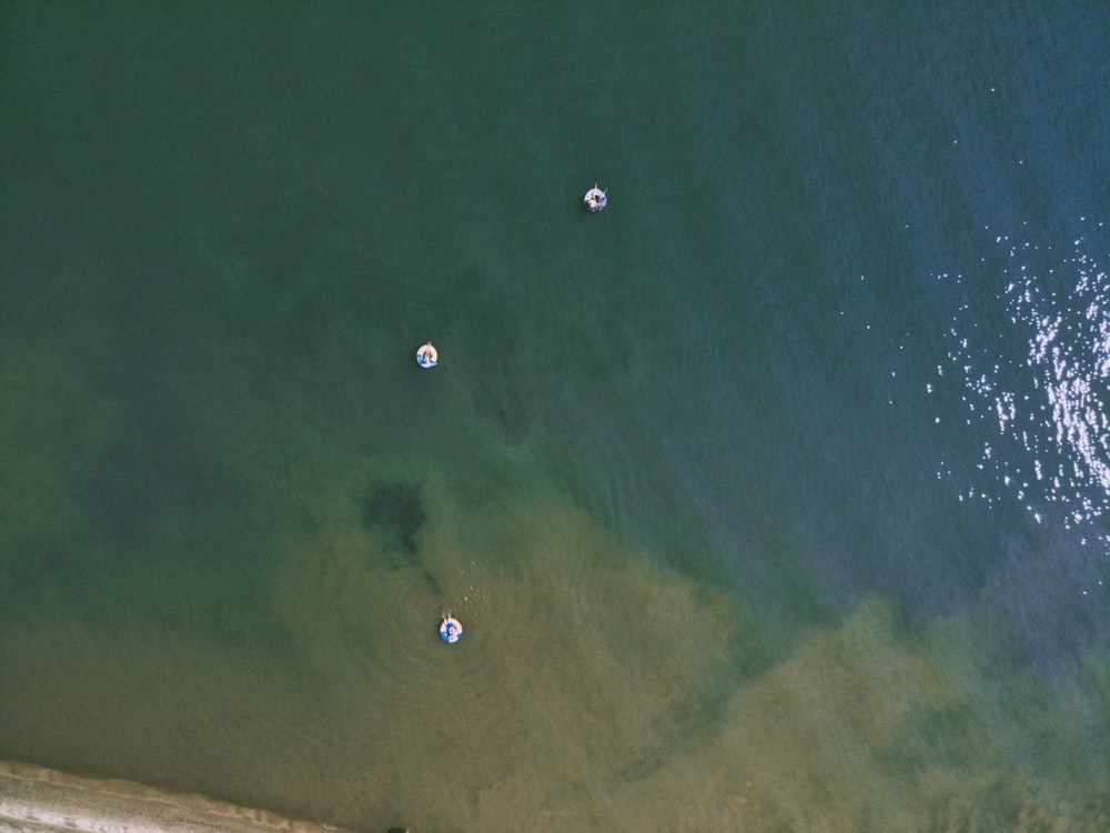 aerial view of green sea