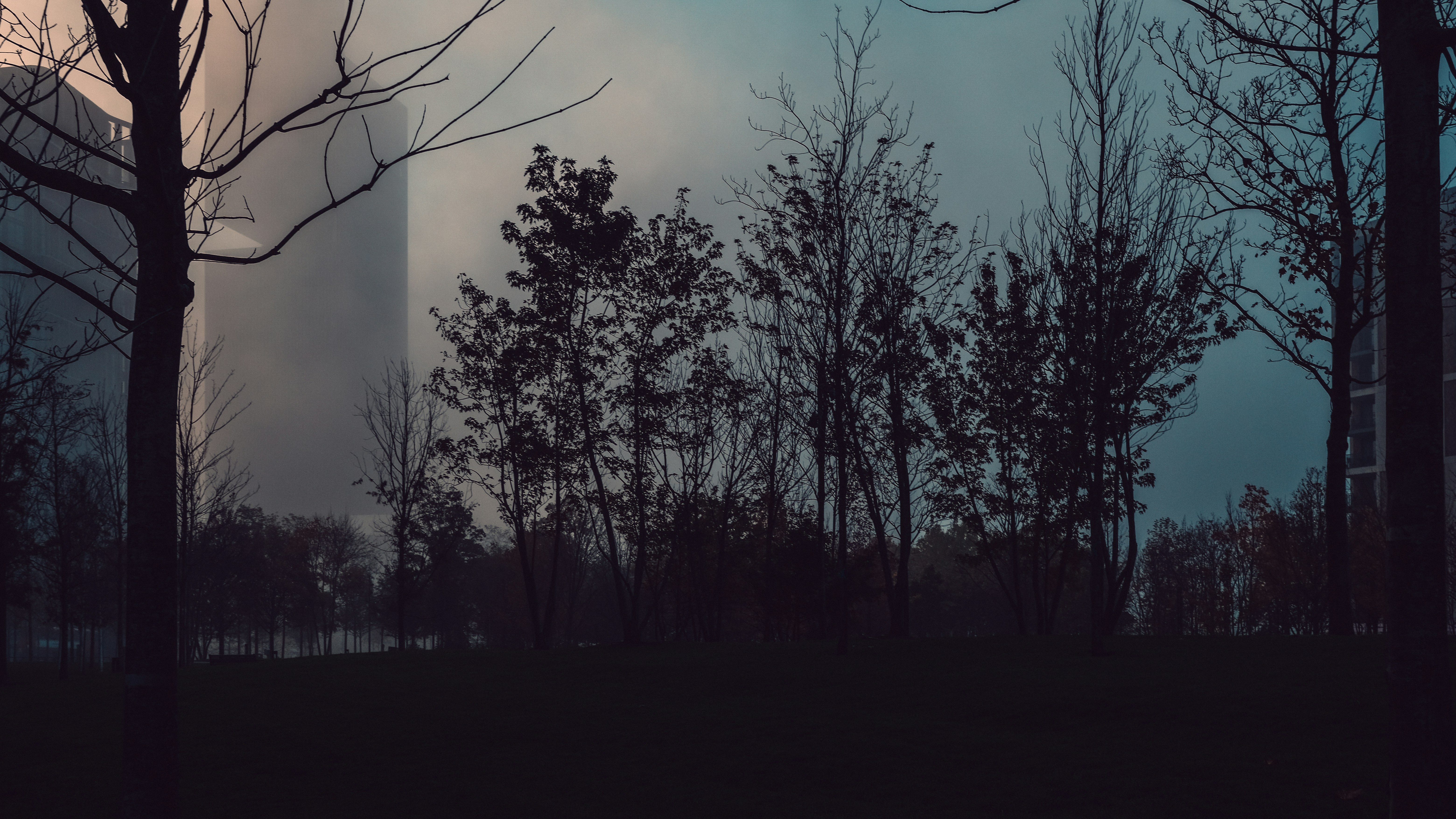 Photo by reganography