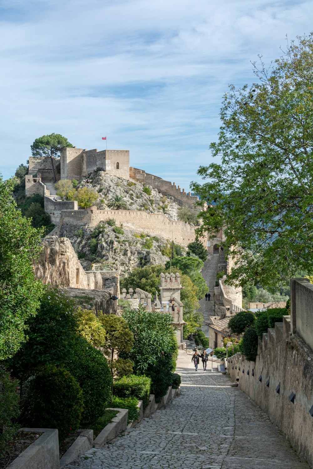 green trees near brown concrete building during daytime