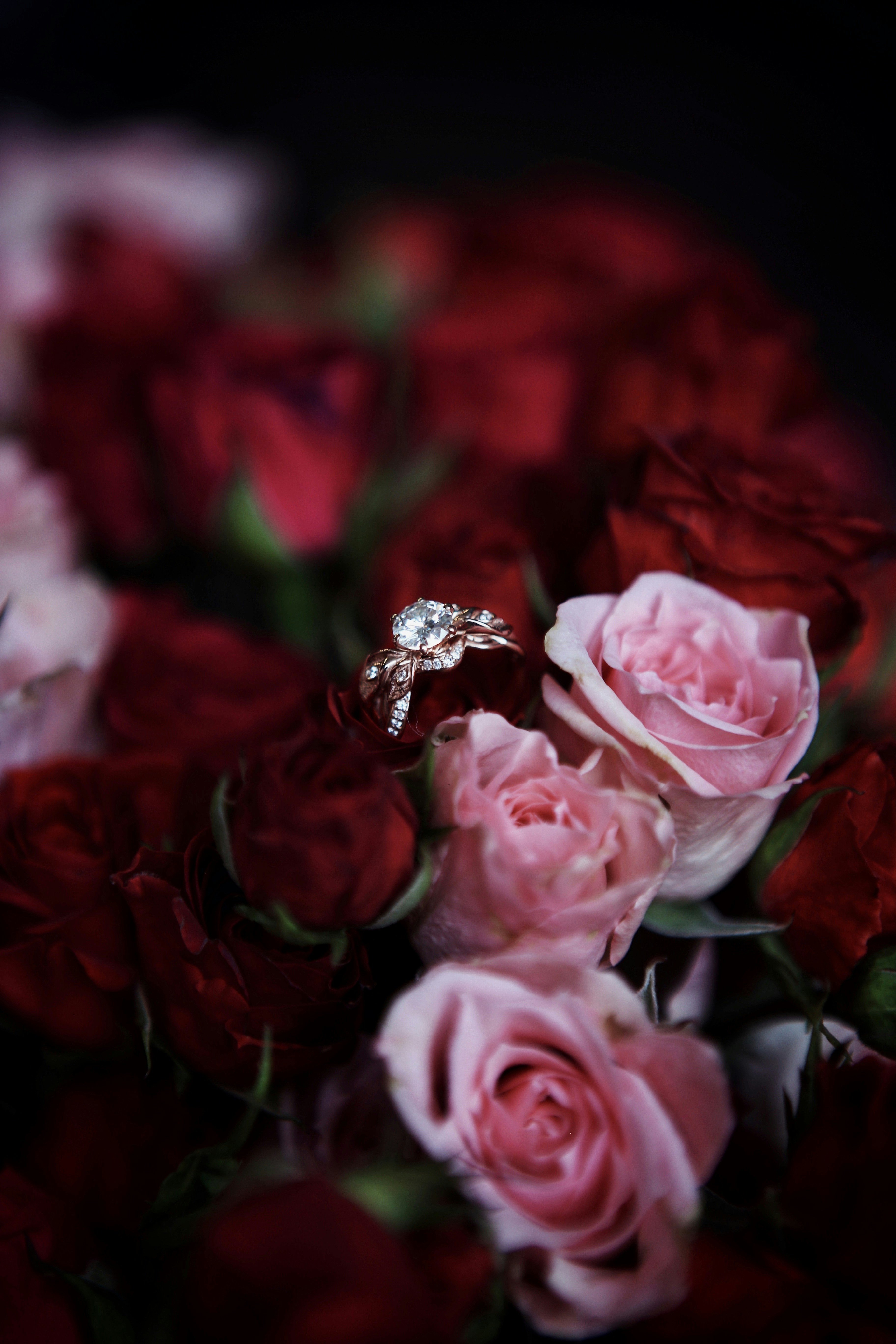 Photo by jezebelrose