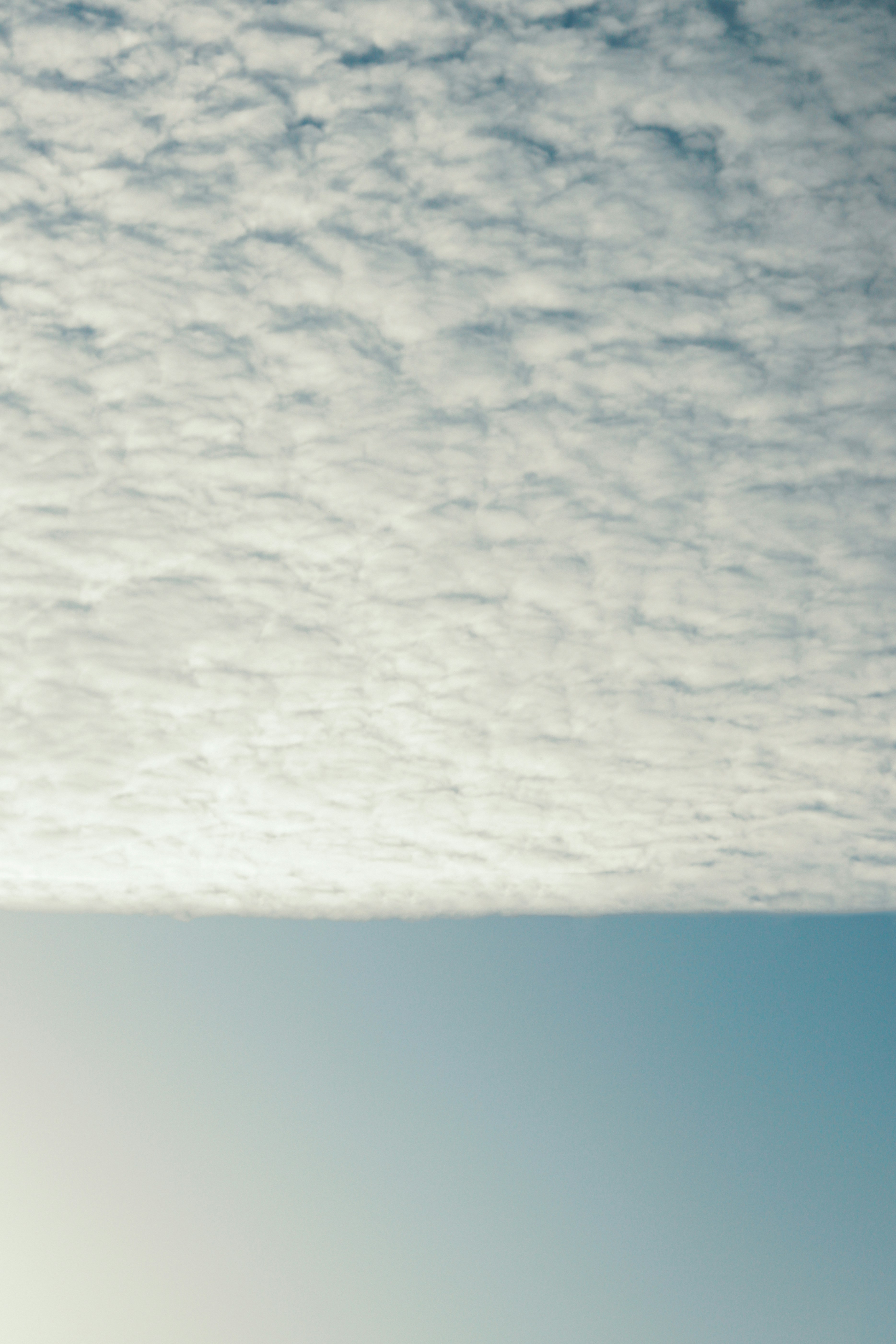 Photo by babybluecat