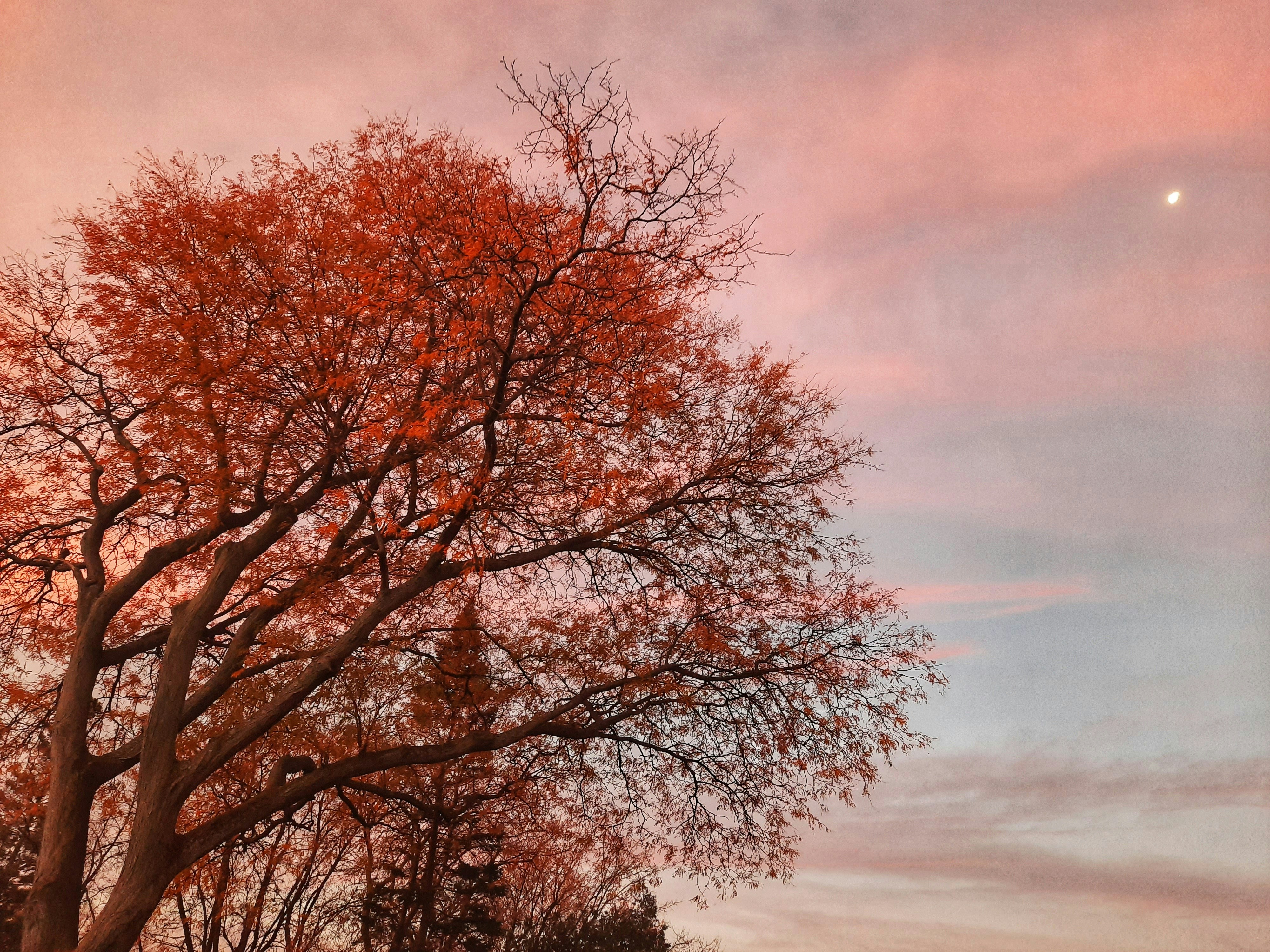 Photo by meri_vasilevski