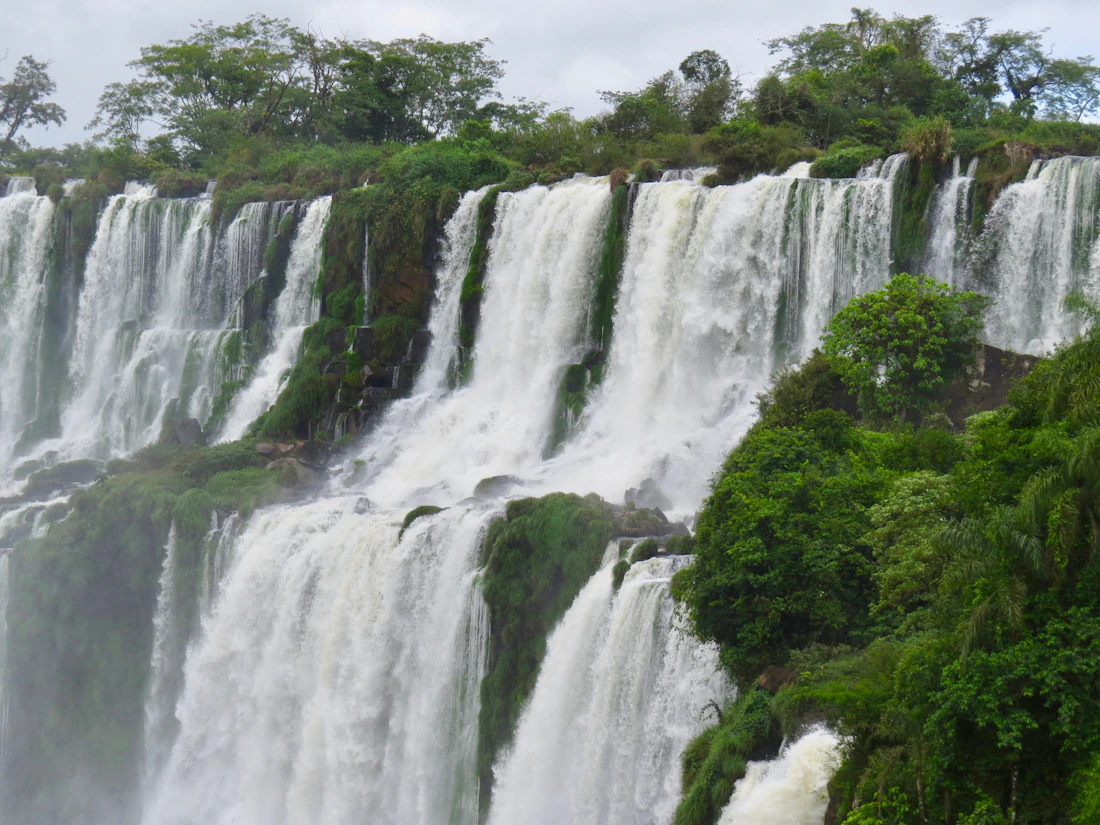 El verde de la selva y los saltos de Iguazú