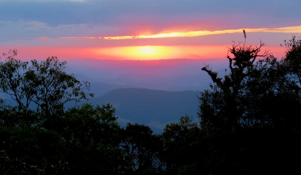 green trees and mountains during sunset