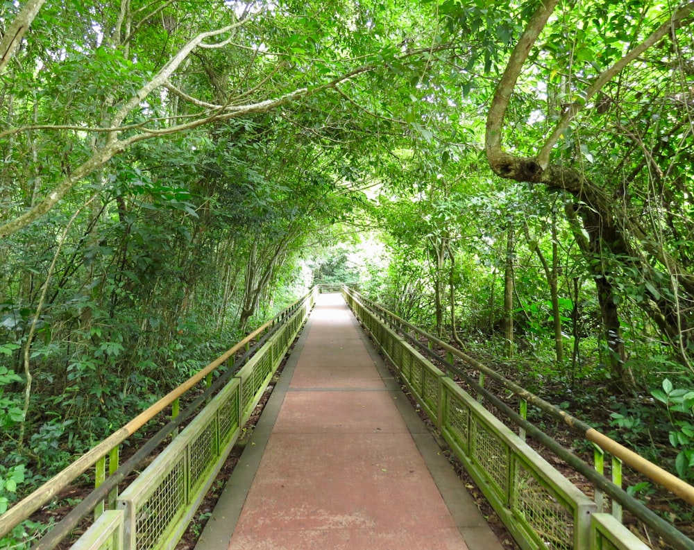 brown wooden bridge in forest during daytime