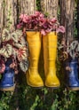 a row of rain boots with plants in them