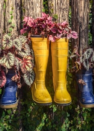 a row of rain boots with plants in them