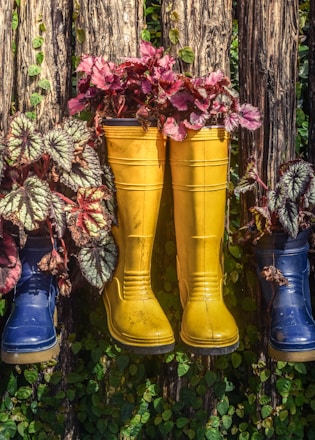 a row of rain boots with plants in them