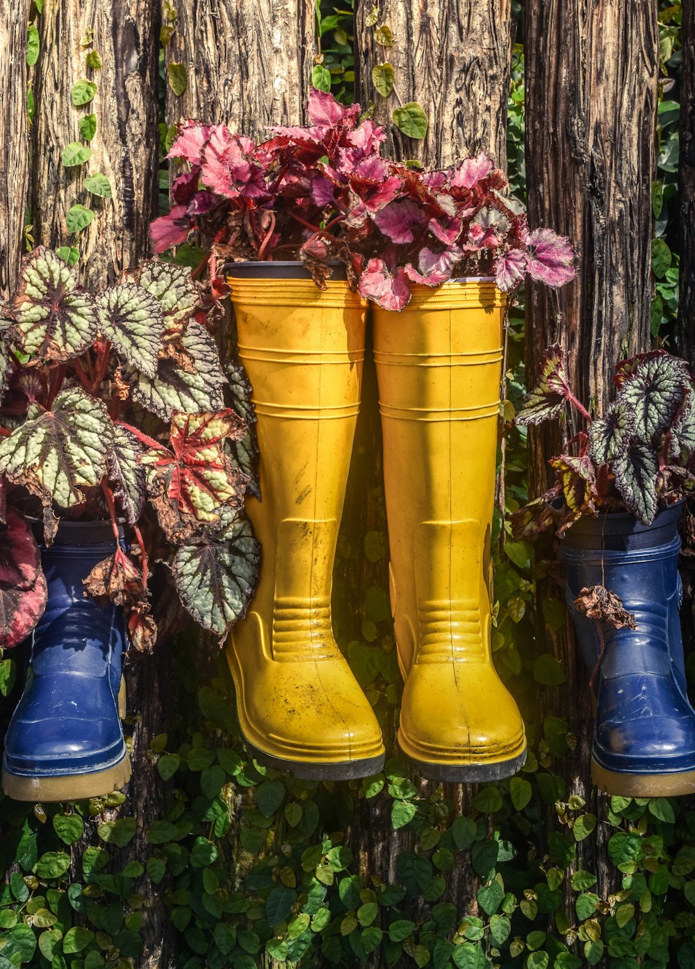 a row of rain boots with plants in them