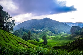 green grass field near mountain under white clouds during daytime