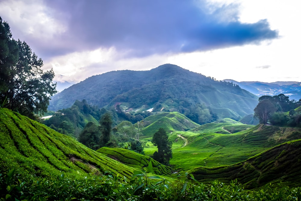 green grass field near mountain under white clouds during daytime