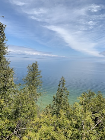 Lush green trees framing calm waters with a wooden dock stretching into the distance.